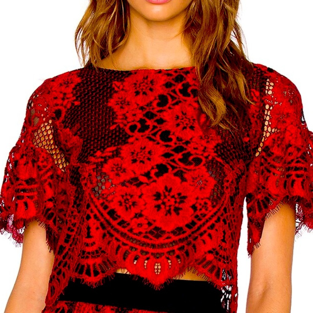Alexis Piero Sheer Lace Crop Top in Red Lace